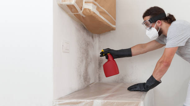 Professional Mold Testing technician working in Richmond, IL