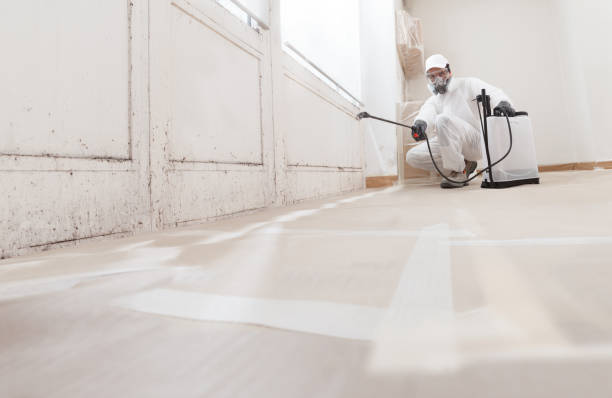 24/7 Emergency Mold Testing experts in Richmond, IL