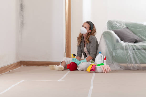 Reliable Mold Cleanup contractor in Richmond, IL by Cheap Mold Removal